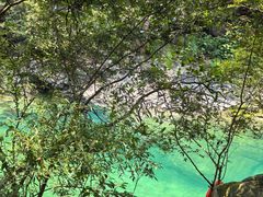 -石台牯牛降景区