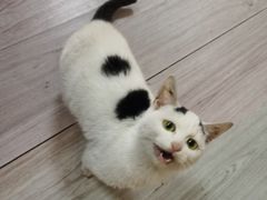 -宠颐生宠物医院·骨外科·犬猫全科诊疗中心(池州店)