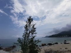 -杨梅坑