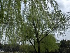 -堤角公园