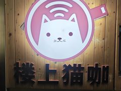 -楼上猫咖(罗湖店)