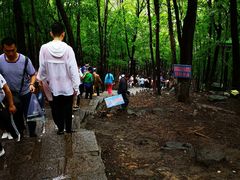 -帽儿山风景区