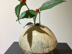 -西武百货(池袋总店)