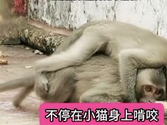 -昆明动物园