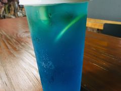 -柴犬高等学院·狗咖·柴犬售卖·宠物训练