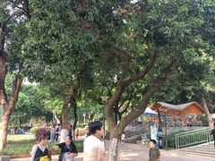 -天河儿童公园