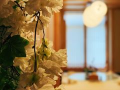 -龙抄手食府(浣花北路店)