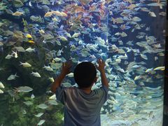 -成都浩海立方海洋公园