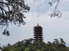 -缙云山景区