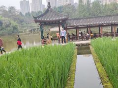 -龙头寺公园