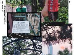 -信号山公园