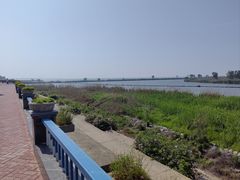 -合肥滨湖国家森林公园