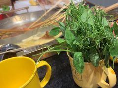 -旺蜀主成都串串火锅(西直门凯德MALL店)