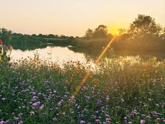 -西溪国家湿地公园