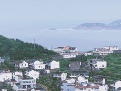 -枸杞岛