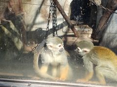 -昆明动物园
