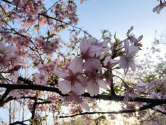 -上海火车站北广场-地下车库