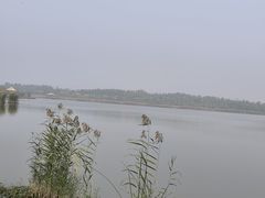 -西青郊野公园
