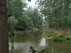 -合肥滨湖国家森林公园