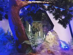 -绿茶餐厅(成都大悦城店)