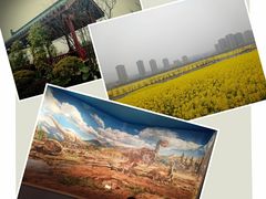 -龙头寺公园