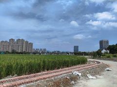 -三垟湿地