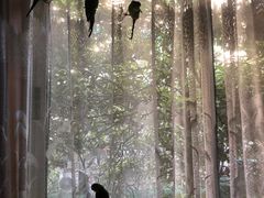 -杭州四季青面料市场有限公司