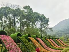 -广州市石门国家森林公园