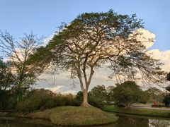 -中国科学院西双版纳热带植物园