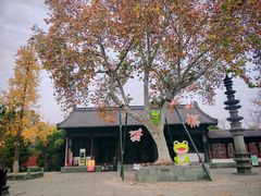 -钱王祠