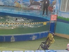 -宿豫区运河湾森林动物园