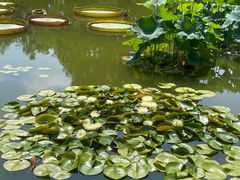 -国家植物园南园