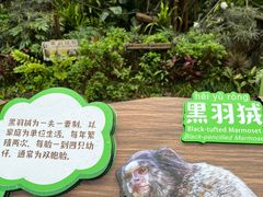 -广州长隆野生动物世界