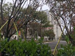 -长沙市青少年宫