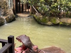 -宁波野生动物园