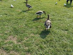 -银树楼(紫玉山庄东区店)