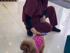 -美联众合动物医院·24h京西诊疗中心