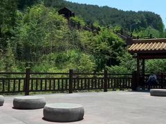 -铁山坪森林公园