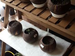 android_upload_pic-志龙皇冠吃货椰子铺