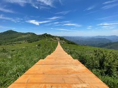 -白草畔自然风景区