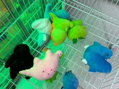 -幻物社(万象天地店)
