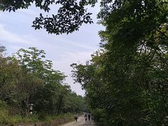 -紫金山山顶公园