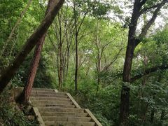-青龙山国家森林公园