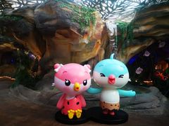 -杭州开元森泊度假乐园