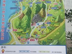 -西霞口神雕山野生动物世界