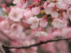 -静安雕塑公园