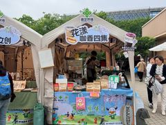 -嘉定紫藤园