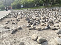 -燕郊植物园