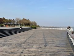 -贡湖湾湿地公园