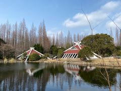 -东平国家森林公园